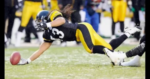 The Legacy of Brandon Polamalu: A Deep Dive into His Impact on Football Brandon Polamalu
