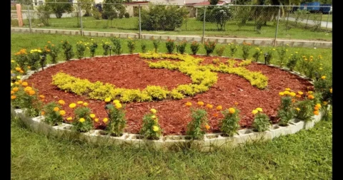 The Rise of Mulch Gang: Sustainability, Community, and Beautiful  Mulch Gang