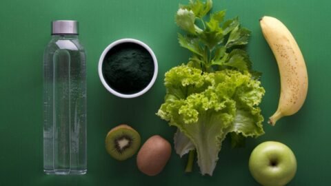 A Deep Dive into the World of Naturaplug.com: What You Need to Know naturaplug.com