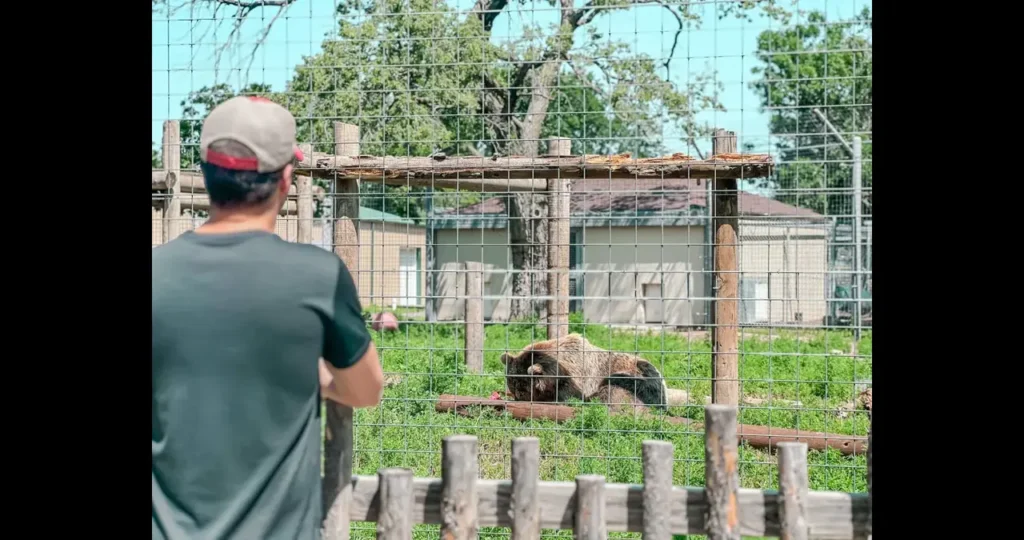 Uncovering Hidden Gems in Great Bend: A Comprehensive Guide Bend